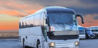 Vrei să devii șofer de autobuz? Ce trebuie să știi despre școala de șoferi categoria D?
