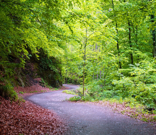 Ghid turistic al parcurilor naturale din judeţul Vâlcea