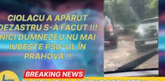 Vizita premierului Ciolacu, alături de Volosevici și Nanu, la Halele Centrale din Ploiești a inviat sloganul din anii 90’ : „Ciolacu a aparut dezastrul s-a facut”