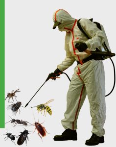 dezinsectie