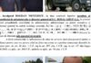 corupție prin abonarea la banii publici din Prahova (II) – Ziarul Incisiv de Prahova