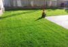 Gazon Rulou – O Soluție Rapidă pentru Un Spațiu Verde Impecabil