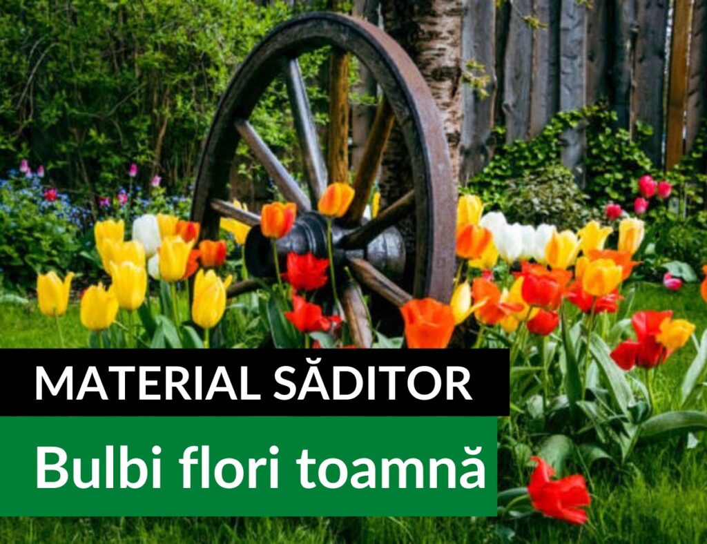 material-saditor agroland