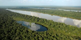 SGS își extinde expertiza în domeniul sustenabilității prin achiziționarea Aster Global