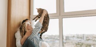 pisica-hrana-umeda-2025