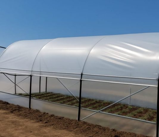 Startul sezonului de toamnă la solarii: cum își pregătesc fermierii culturile pentru iarnă și primăvară