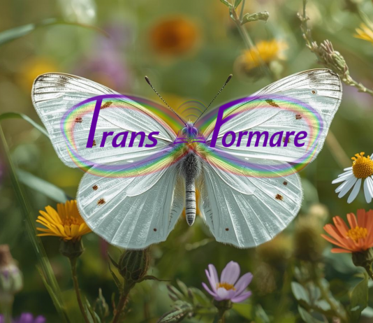 Trans-Formare.ro lansează două programe online pentru cei care vor să-și depășească amânările și să devină mai convingători