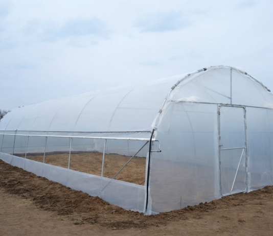 Românii investesc din nou în solarii de grădină în 2026: producția proprie revine în forță