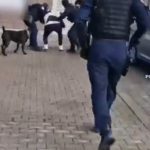 Prahova: Tânăr de 19 ani, arestat pentru că vindea canabis pe raza județului