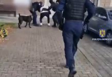 Prahova: Tânăr de 19 ani, arestat pentru că vindea canabis pe raza județului