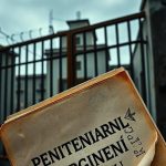PUȘCĂRIA UNDE ȘEFII SE CRED PE PLANTAȚIE ȘI POLIȚIȘTII SUNT „MUTAȚI” DUPĂ TOANELE VĂTAFILOR! – Ziarul Incisiv de Prahova