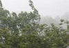 Avertizare meteo Cod Portocaliu de furtună în mai multe localități prahovene din zona de deal