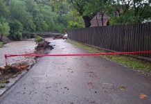 „profesioniștii” de la IPJ Prahova la pândă, nu la datorie – Ziarul Incisiv de Prahova