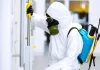Cât de des trebuie făcută deratizarea? Tot ce trebuie să știi pentru a preveni infestările