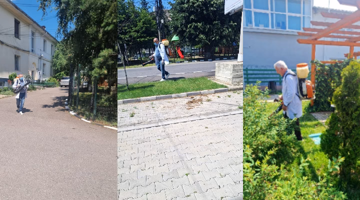 S-a finalizat campania de deratizare și dezinsecție a localității