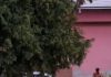 „Ți-ai făcut meseria? Acum plătești!” — noua normalitate pentru polițistul român? – Ziarul Incisiv de Prahova