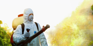 Firmă dezinsecție București pentru intervenții adaptate fiecărui tip de infestare